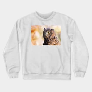 Cute owl portrait Crewneck Sweatshirt